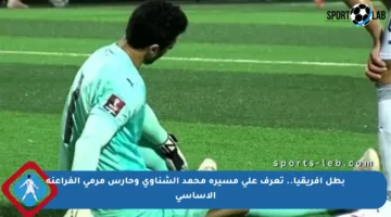 بطل إفريقيا.. تعرف على مسيرة محمد الشناوي وحارس مرمى الفراعنة الأساسي